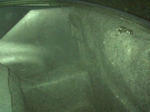 Camaro spare tire area